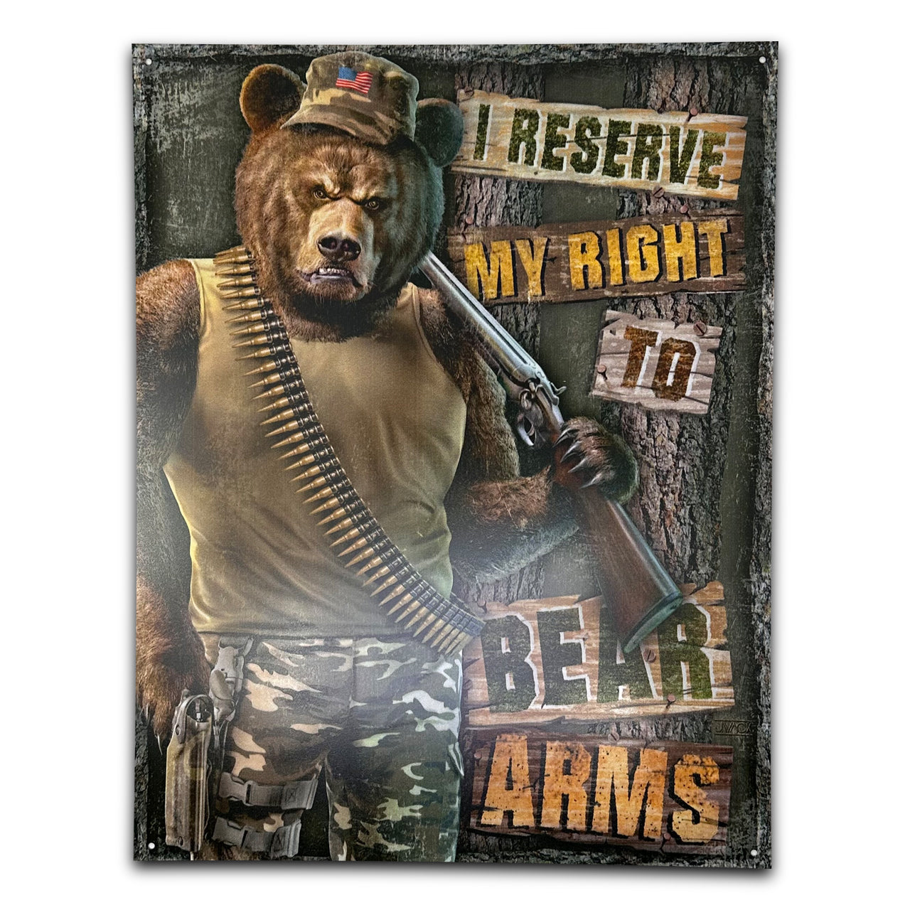 Right to Bear Arms Sign