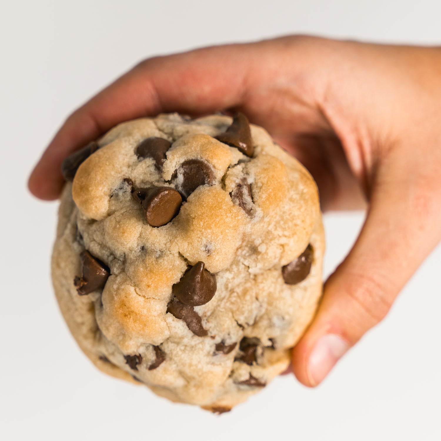 Frenchies Bakery Giant Ooey Gooey Cookies