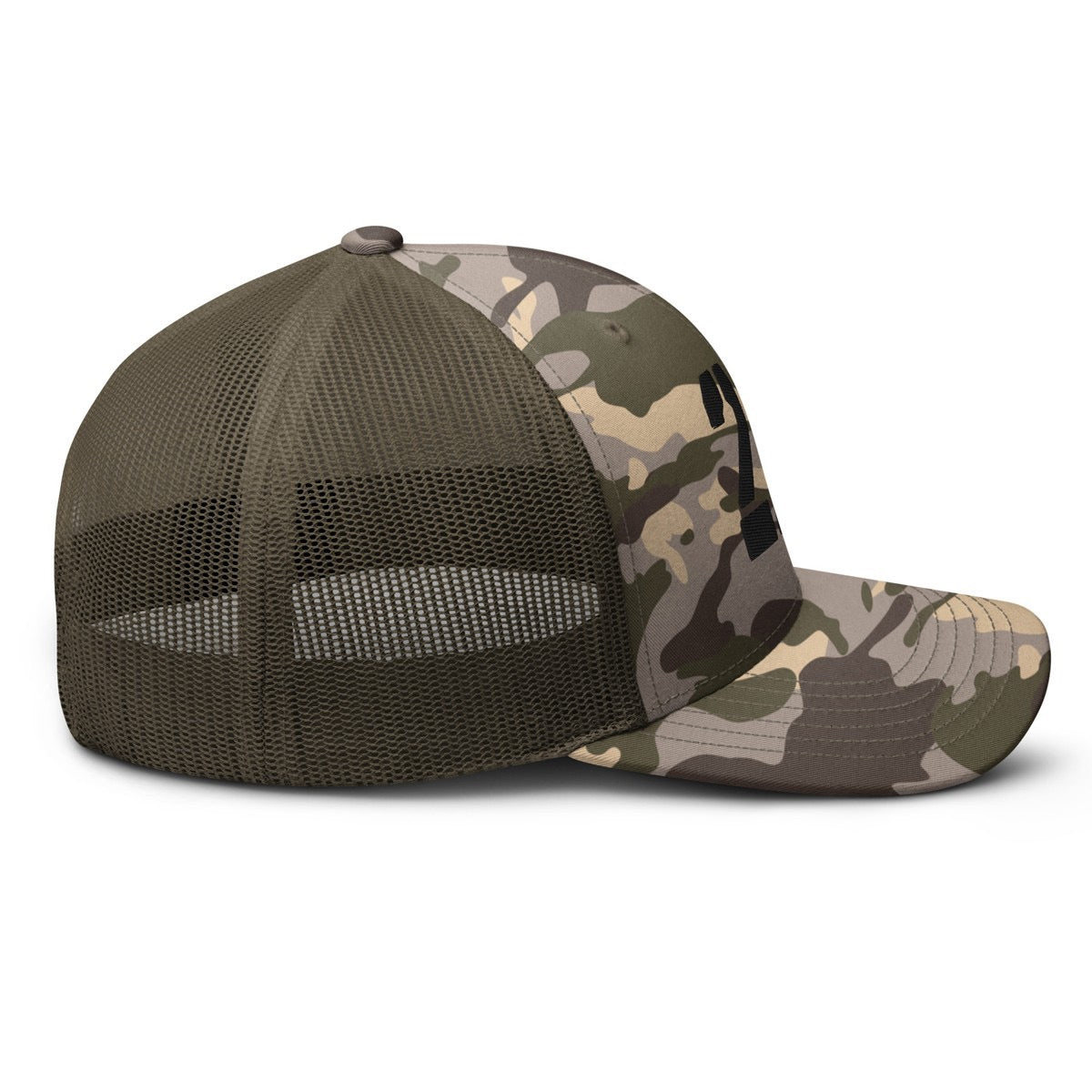 2A Camo Hat