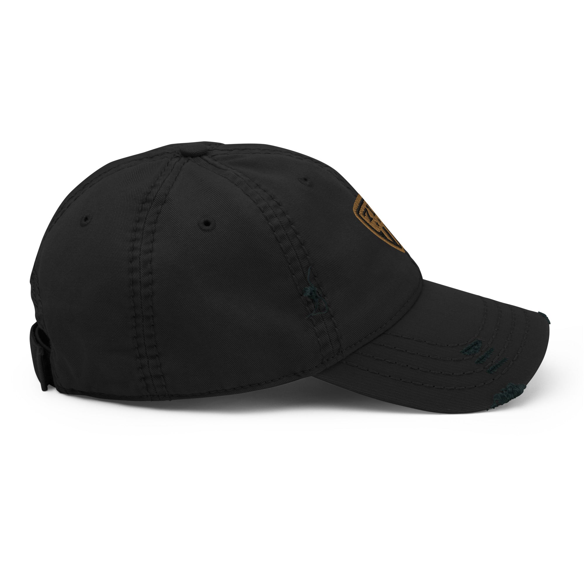 717 Shield Dad Hat